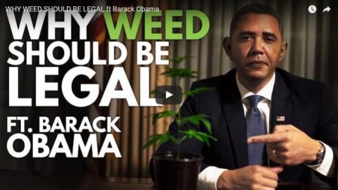 Video: WHY WEED SHOULD BE LEGAL